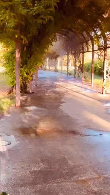 11-11-25
Tocar la tierra para volver a Ti.
.
.
Cualquier #momento y #circunstancia . 
Cualquier #lugar es bueno para #conectar con el #mundo que te rodea y #contigo .
.
.
#hijasdedanu #guiaconsciente #conexión #naturaleza #grounding #esencia #yoga #barefootgirl #valencia #benimamet #barefootlife